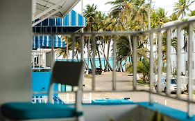 Oceanview Apartment Steps To The Beach