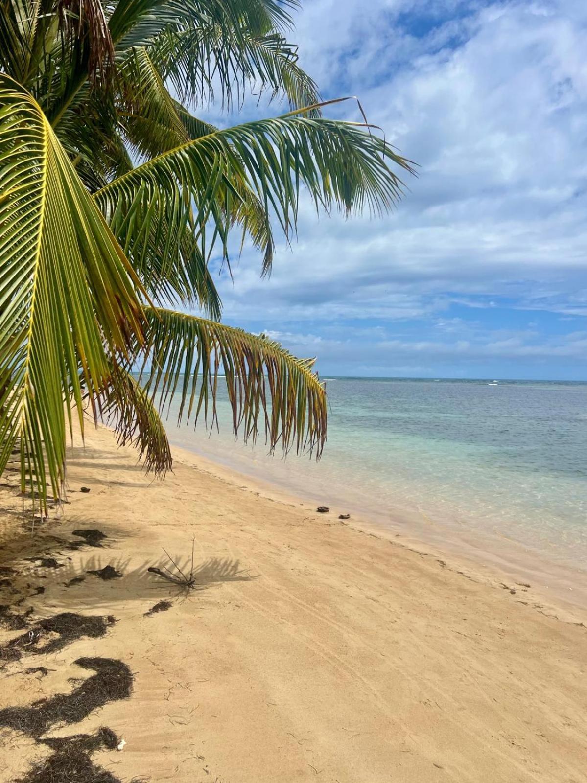 Oceanview Apartment Steps To The Beach Luquillo Exterior photo